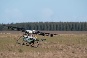 drone utilizado en el combate anti hormigas en la forestación uso tecnología