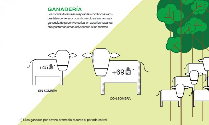 Economía_15_1