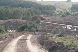 Forestal de gira 
