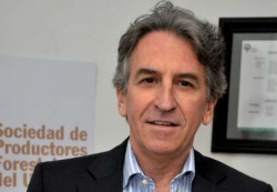 . "El primer embarque de chips tuvo la emoción de lo inédito y la satisfacción enorme de lograr la apertura de un mercado interesante como lo era Japón en aquella época".