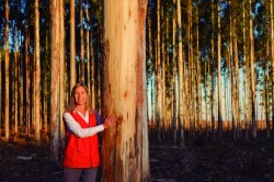 "Desafíos tales como el cambio climático, disturbios fisiológicos, plagas y enfermedades son algunos de los factores que demandaran a futuro nueva generación de conocimiento e inversión en investigación".  