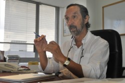 "El globulus llegó a Uruguay en el siglo XIX y se adaptó al Sureste del país por tener un clima marítimo similar al de Australia".    